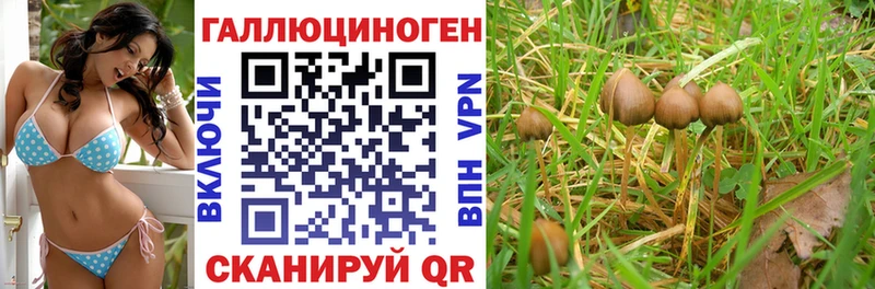Галлюциногенные грибы MAGIC MUSHROOMS  Купить где  Скопин 