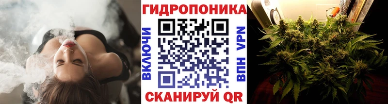 Шишки марихуана ГИДРОПОН  Купить где  Скопин 